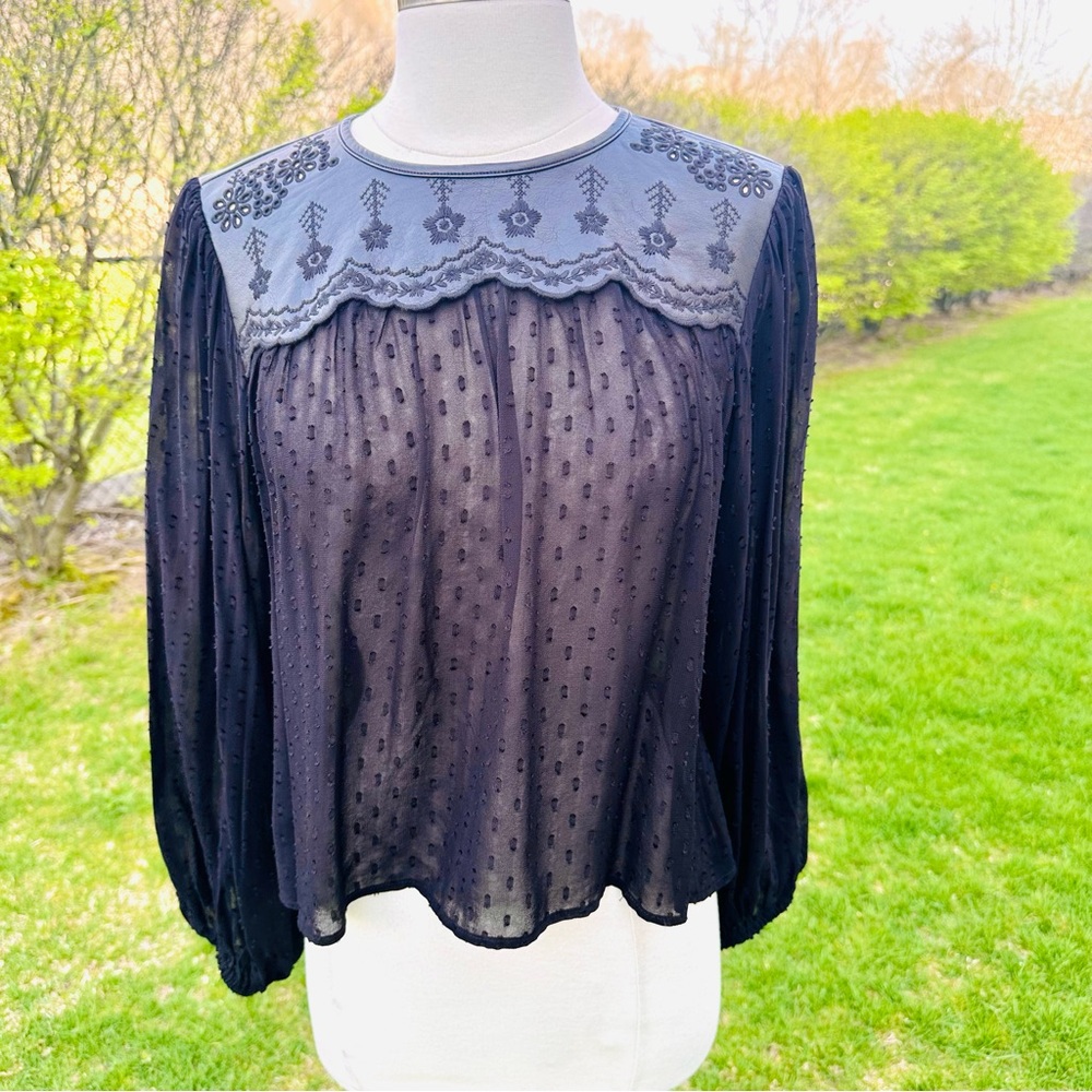 Zara Black Whimsigoth Top